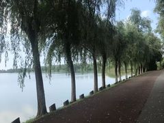 -艾溪湖湿地公园