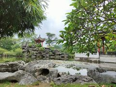 -顺峰山公园