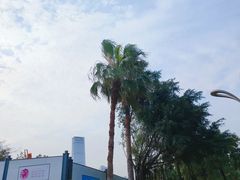 -深圳湾公园(南山区)