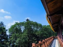 -广州市帽峰山景区