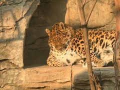 -石家庄市动物园