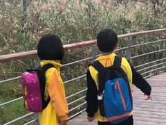 -西湖风景区-江洋畈生态公园