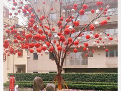 -思南书局(复兴中路店)