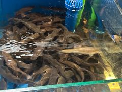 -鼎原力量东北吊炉烧烤(幸福街店)
