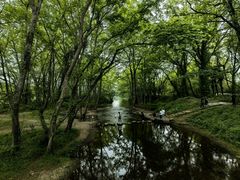 -西溪南古村落景区