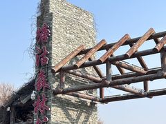 -塘沽森林公园