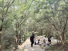 -灵顺寺