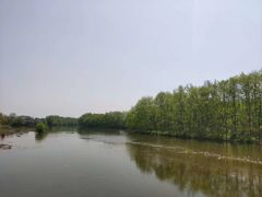 -新安江山水画廊风景区