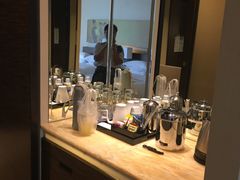 -芽庄喜来登水疗酒店