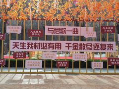 -九女仙湖景区