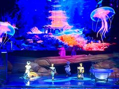 -海合安武汉极地海洋公园