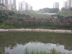 -盘溪河公园