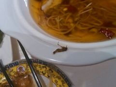 android_upload_pic-19号私房菜(云南路店)