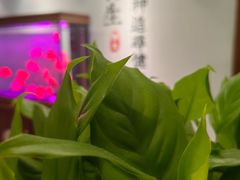 -金蚁康•经络调理•肩颈按摩(万达金街店)