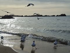 -老虎石海上公园