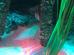 -沈阳海洋探索中心