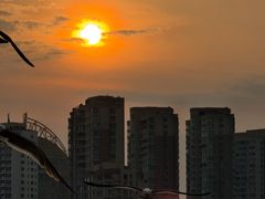 -星海广场