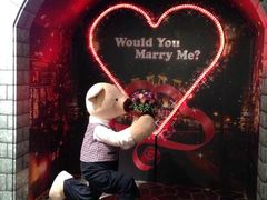 -济州岛泰迪熊博物馆