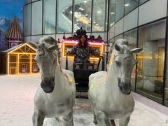 -世界之窗阿尔卑斯冰雪世界