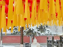 -护国法轮寺