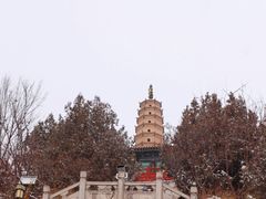 -白塔山公园