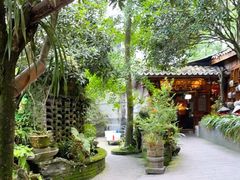 -青城甲(青城山店)