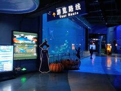 -烟台海昌鲸鲨海洋公园