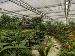 -南宫五洲植物乐园