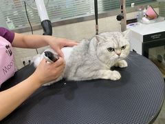 -暖阳宠物医院·犬猫康复中心·骨科