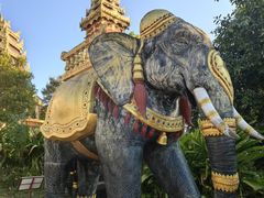 -孔雀湖生态旅游区