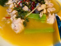 鲜花椒泡菜煮牛蛙-梧桐