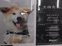 -YCHL Studios健身工作室(市二宫店)