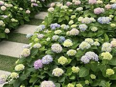 -金银湖国家城市湿地公园