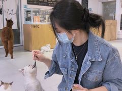 -Heymao猫咖.咖啡厅(东门店)