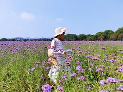 -山明水秀大饭店