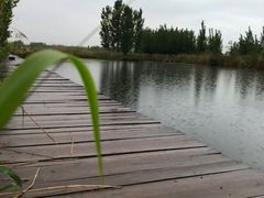 -白洋淀锅里口灶台鱼