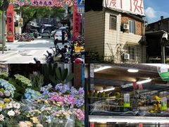 -溪岸路花鸟市场