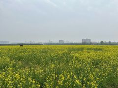 -汉长安城未央宫国家考古遗址公园