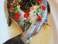 清蒸金派斑-沪碟·精菜坊(闵行店)