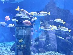 -海合安武汉极地海洋公园