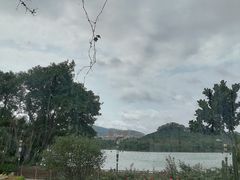 -立新湖公园