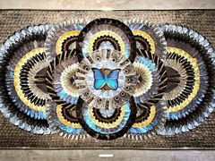 -上海昆虫博物馆