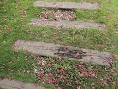 -武汉紫薇都市田园