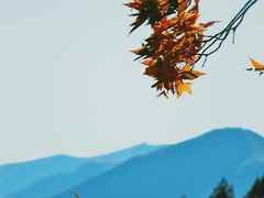 -鹫峰国家森林公园