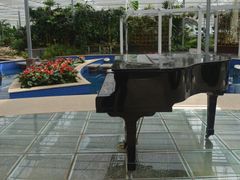 -上海鲜花港