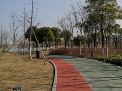 -海宁鹃湖公园