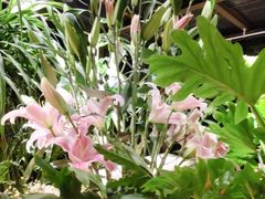 -春暖花开(西溪店)