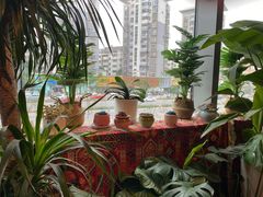 -火塘云南烧烤大排档