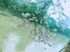 -红星桥(地铁站)
