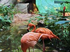 -长鹿旅游休博园